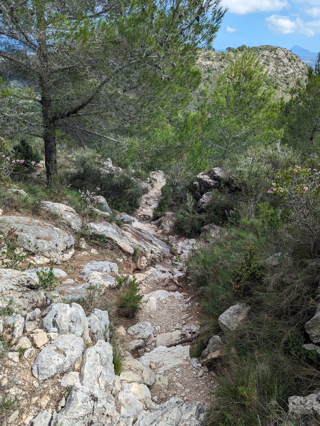 Local hiking Marxuquera